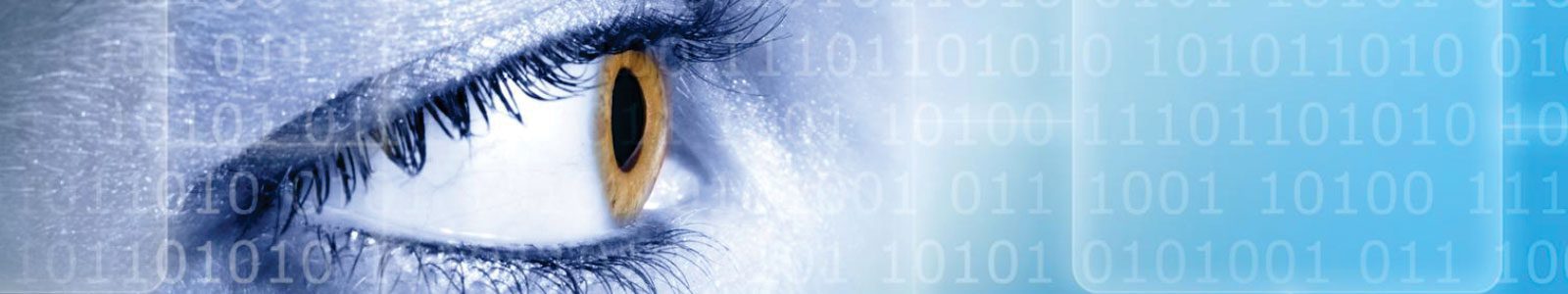 #nivo-caption1-3 layer8security slider-1